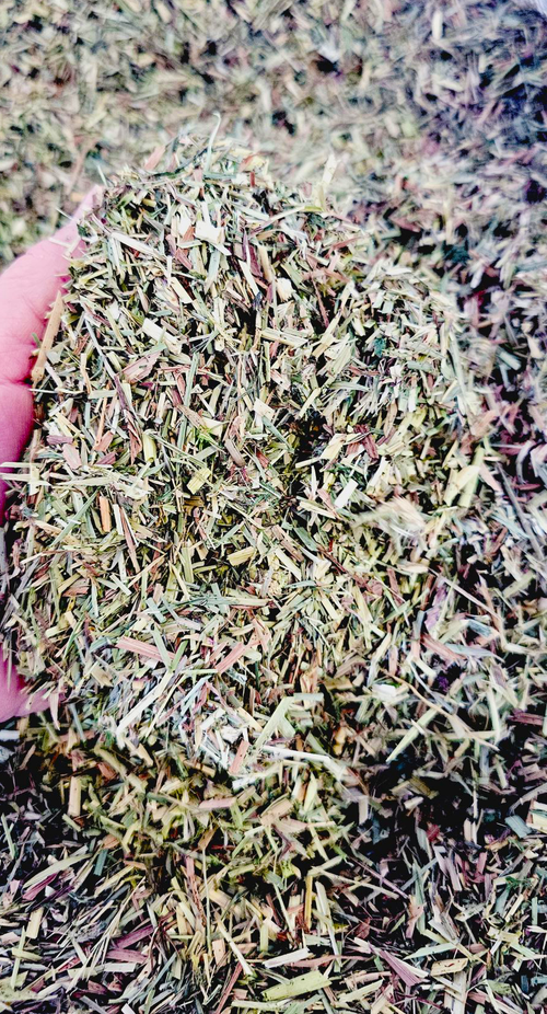 Lucerne Chaff 20kg